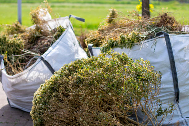 Best Dumpster Rental Services  in Pittsfield, IL