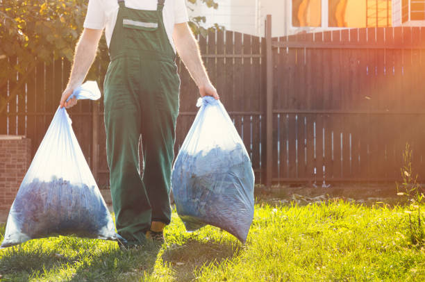 Best Same-Day Junk Removal  in Pittsfield, IL